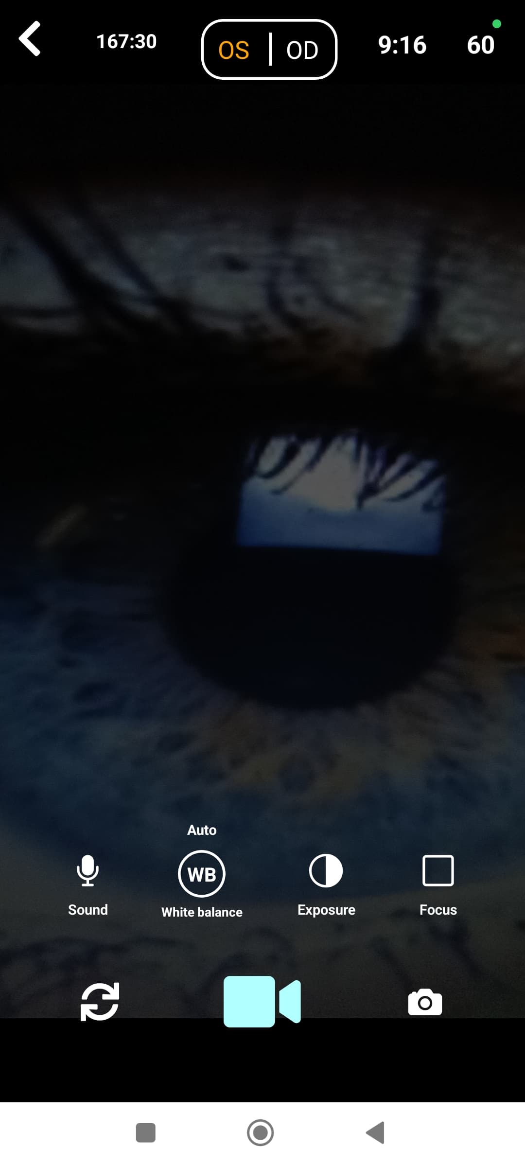 Captura